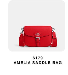 \\$179 AMELIA SADDLE BAG