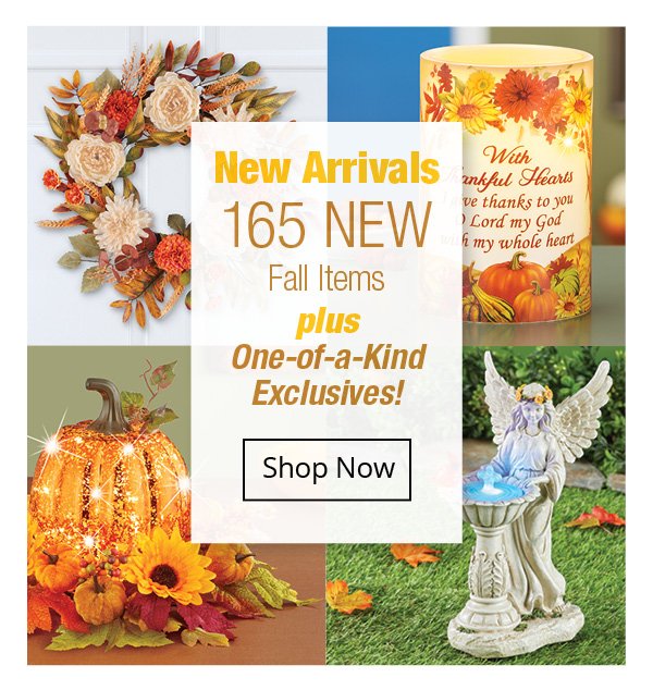 New Arrivals 165 NEW Fall items