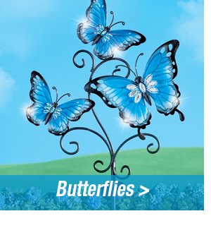 Butterflies