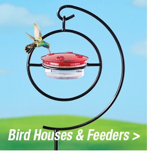 Bird Houses & Feeders