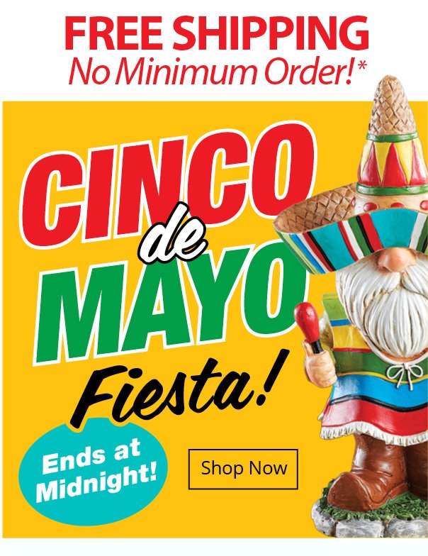 Cinco de Mayo Fiesta! Free Shipping No Minimum Order!