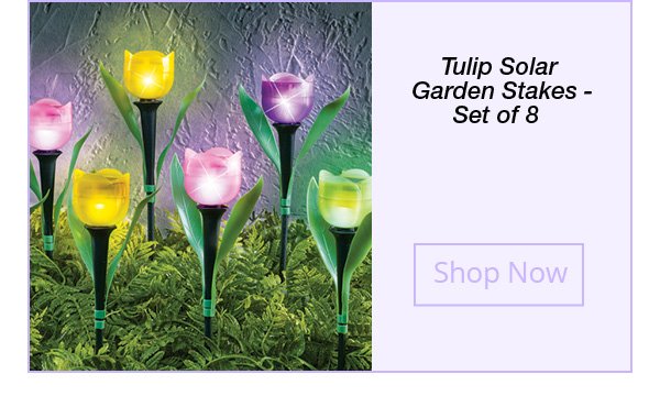 Shop Tulip Solar Garden Stakes - Set of 8