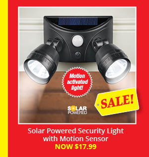 Solar Powered Security Light with Motion Sensor