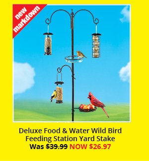 Deluxe Food & Water Wild Bird Feeding Station Yard Stake