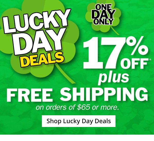 17% Off + Free Shipping On Orders of \\$65 or More