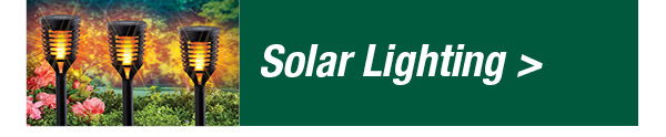 Solar Lighting