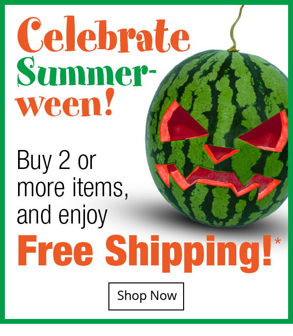 Buy 2 or more items and get Free Shipping- Celebrate Summer-ween!