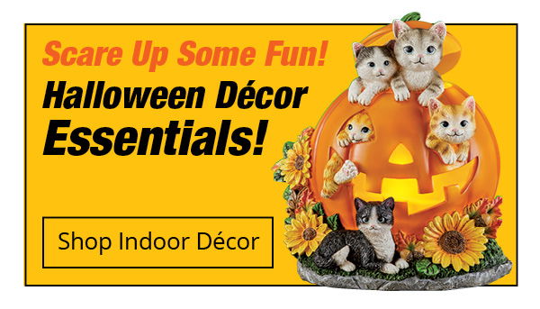 Scare Up Some Fun! Halloween Decor Essentials!