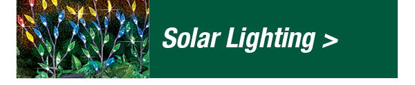 Solar Lighting