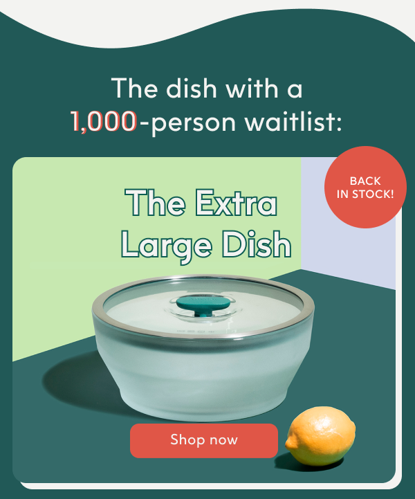 the extra large dish is back in stock!