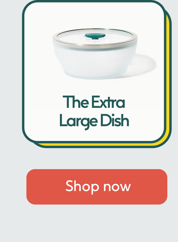 The Extra Large Dish