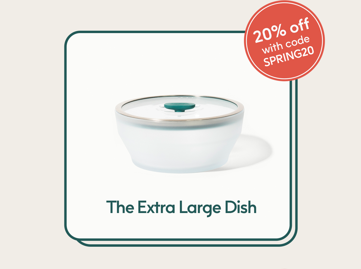 The Extra Large Dish