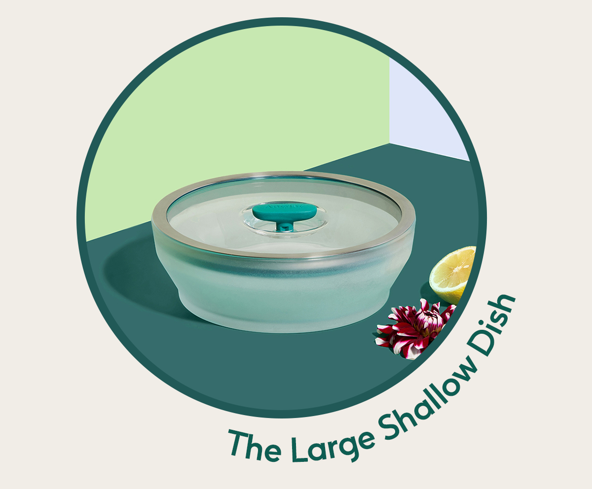 The Large Shallow Dish