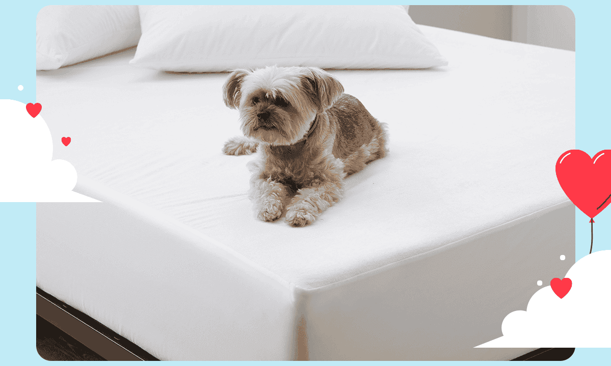 Luxury Mattress Protector