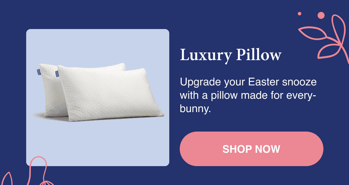 Luxury Pillow