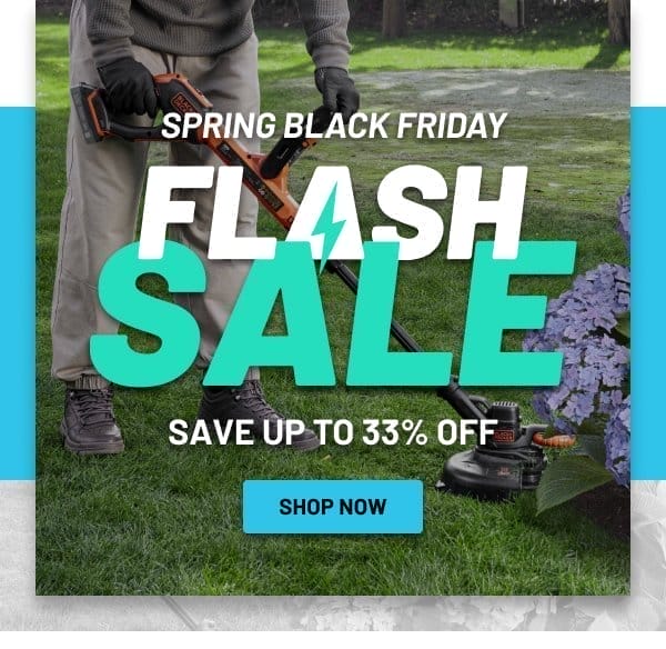 Spring black friday flash sale