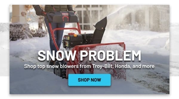 Savings on Snow Blowers