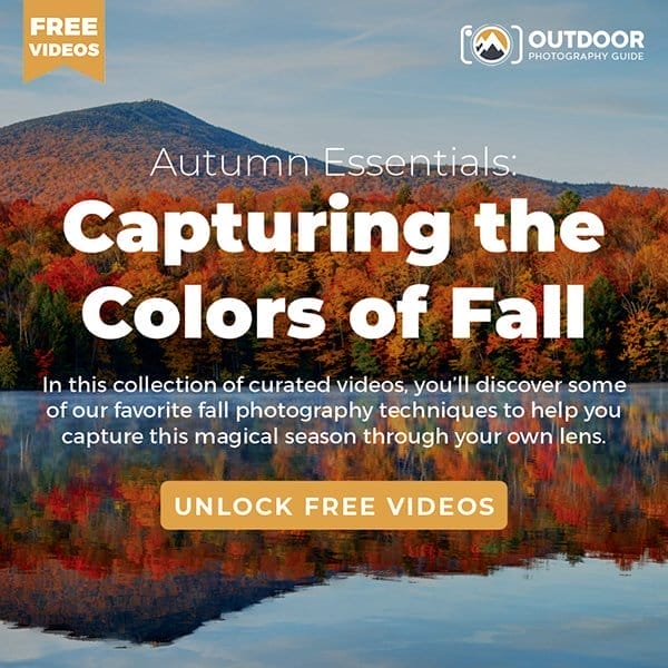 Autumn Essentials: Capturing the Colors of Fall