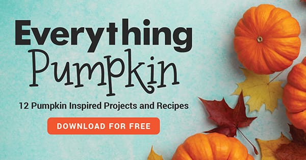 12 FREE Pumpkin-Themed Patterns and Recipes