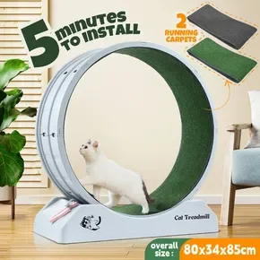 Cat Wheel Running Toy Exerciser Fitness Workout Treadmill Machine Indoor Feline Spinning Walking Training Circle Plastic