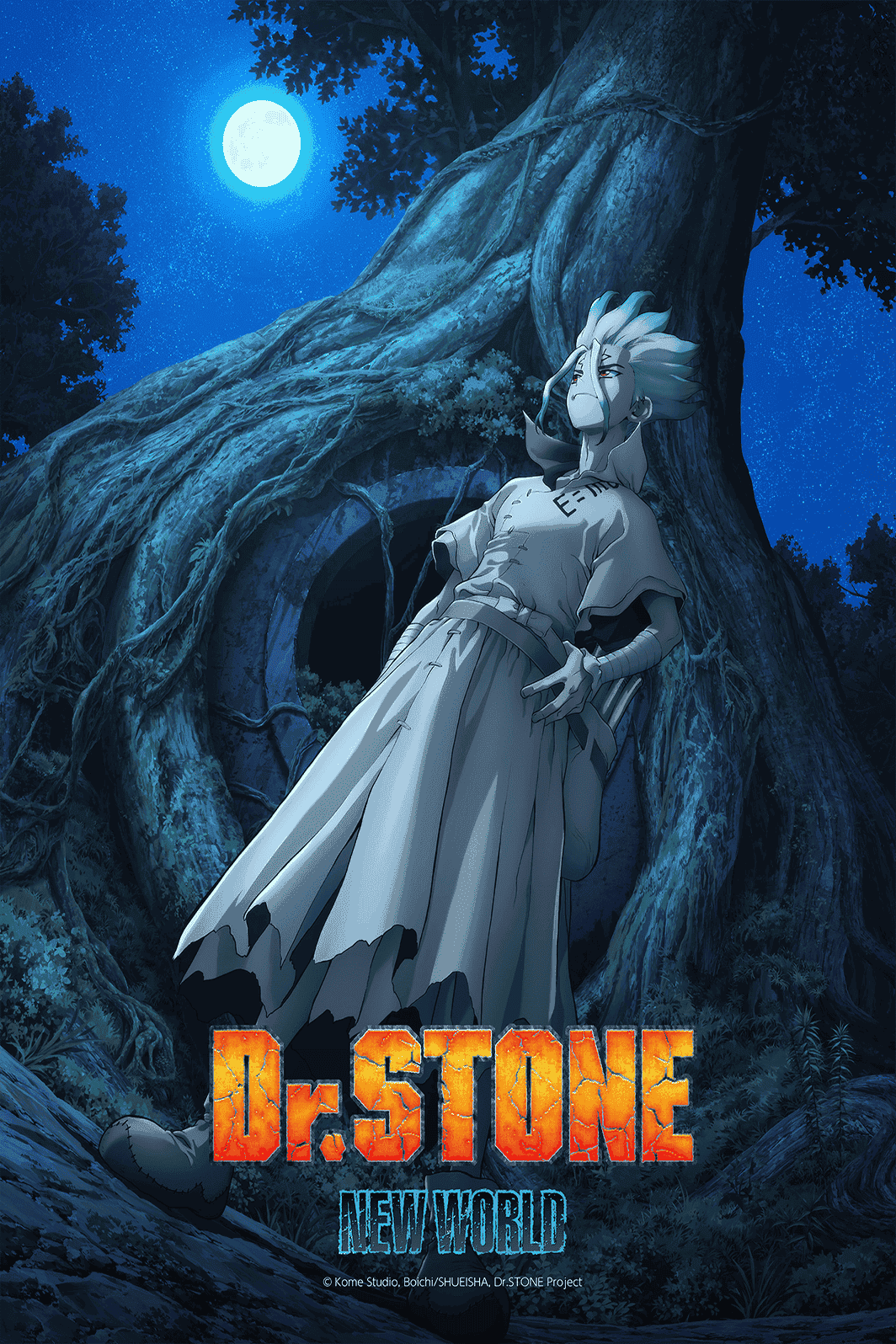 Dr. STONE New World