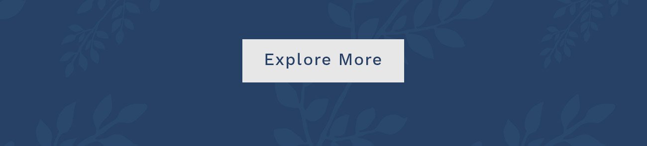 Explore More