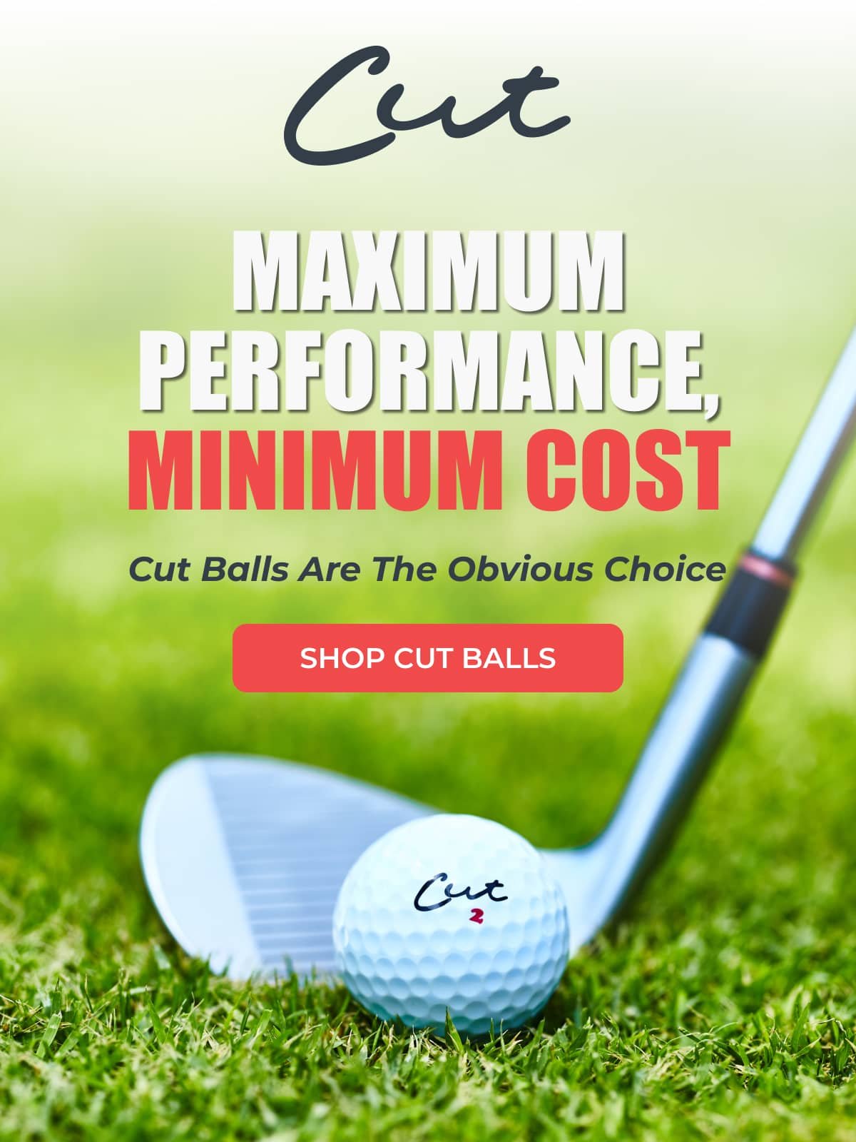 MAXIMUM PERFORMANCE MINIMUM COST Cut Balls Are The Obvious Choice >> SHOP CUT BALLS