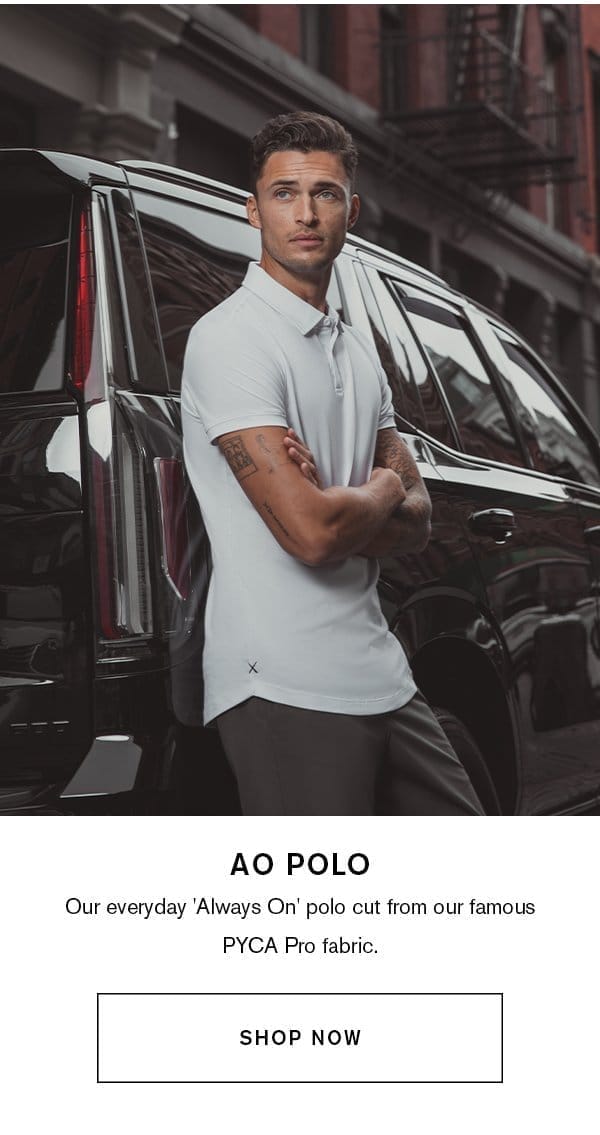 AO Polo