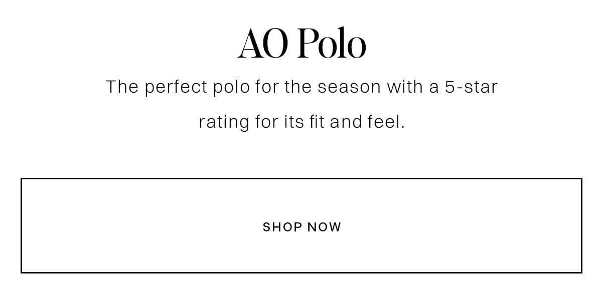 AO Polo