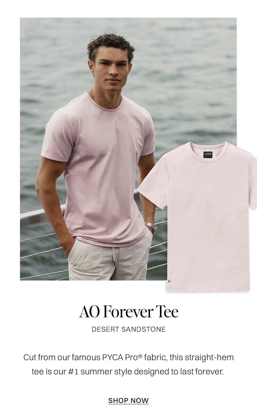 AO Forever Tee