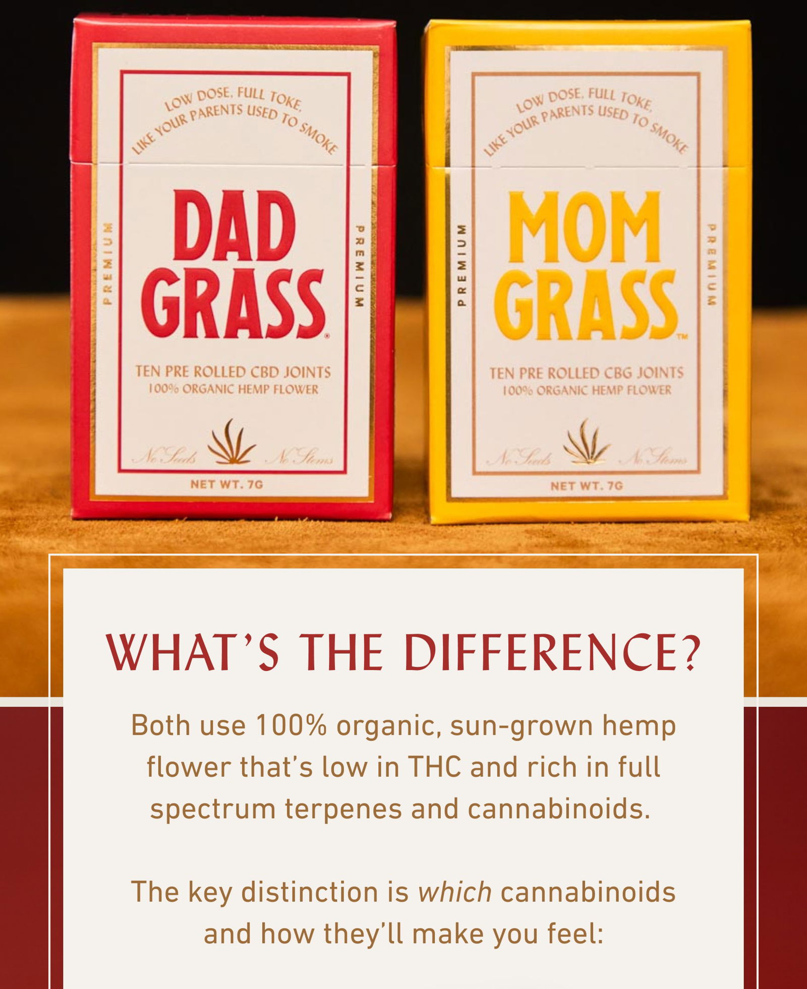 WHAT’S THE DIFFERENCE? Both use 100% organic, sun-grown hemp flower that’s low in THC and rich in full spectrum terpenes and cannabinoids.   The key distinction is which cannabinoids and how they’ll make you feel: