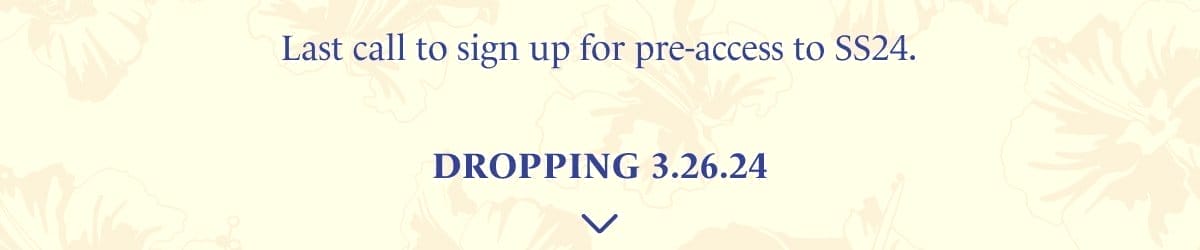 Get Pre-Access