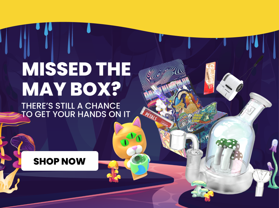 MISSED THE MAY BOX?