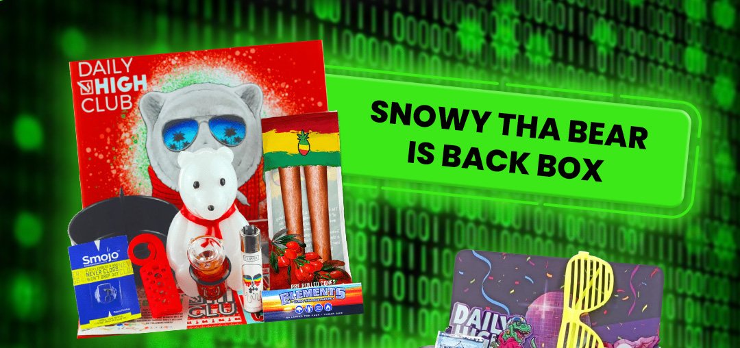 Snowy Tha Bear is Back Box