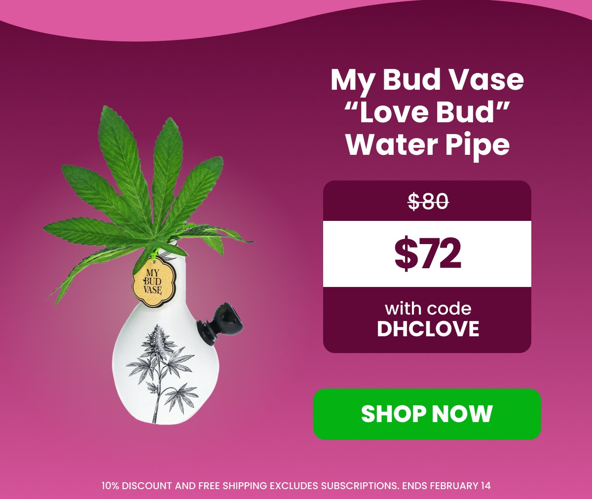 My Bud Vase “Love Bud” Water Pipe Was \\$80 / Only \\$72 with code DHCLOVE