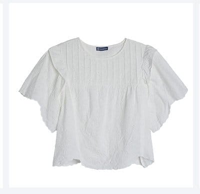 Short Sleeve Round Neck Embroidered Eyelet Woven Top