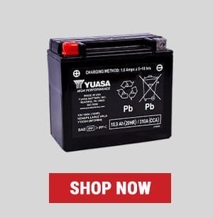 Shop AGM/Maintenance Free Batteries