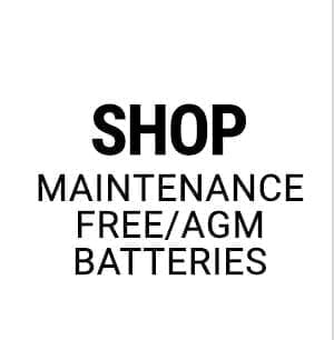 Shop AGM/Maintenance Free Batteries