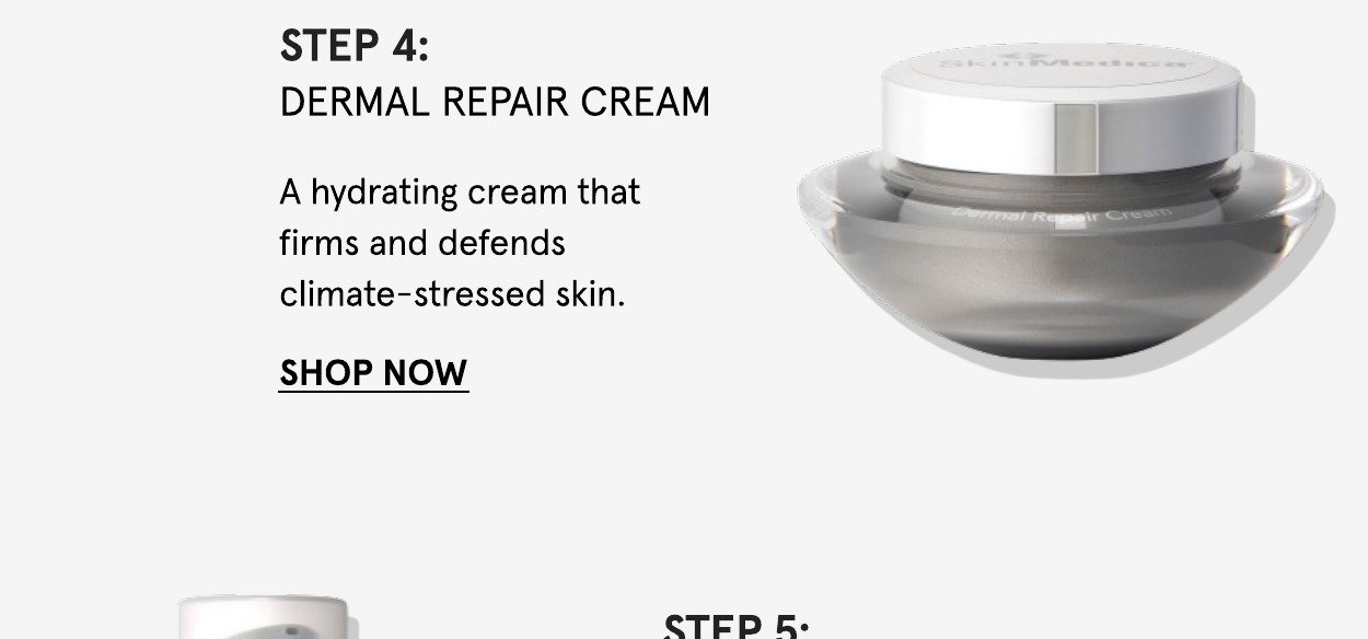 SkinMedica Dermal Repair Cream