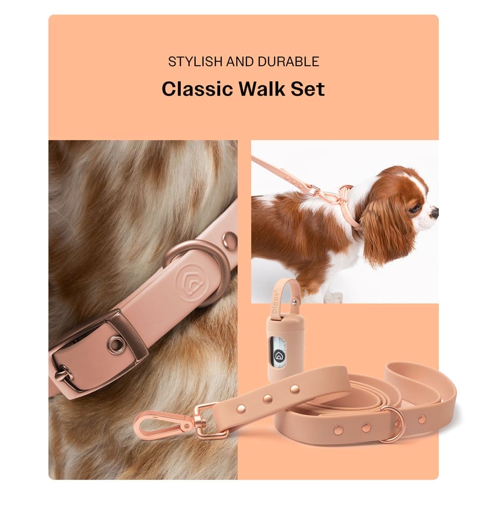 Classic Walk Set