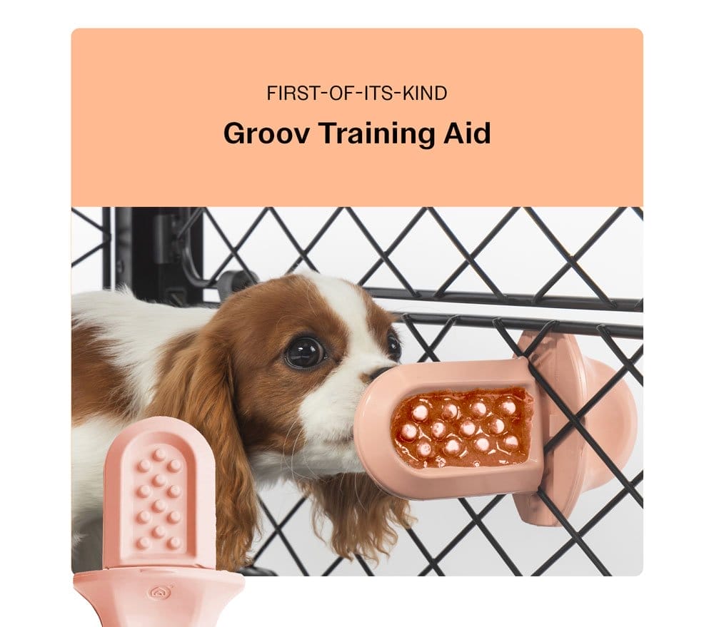 Groov Training Aid