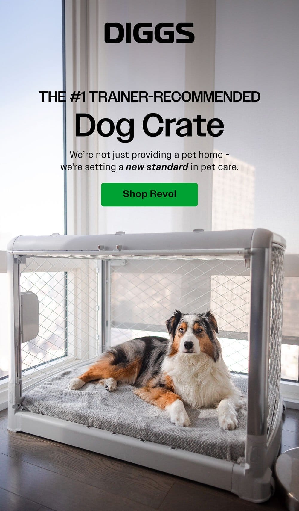 The #1 trainer recommended dog crate