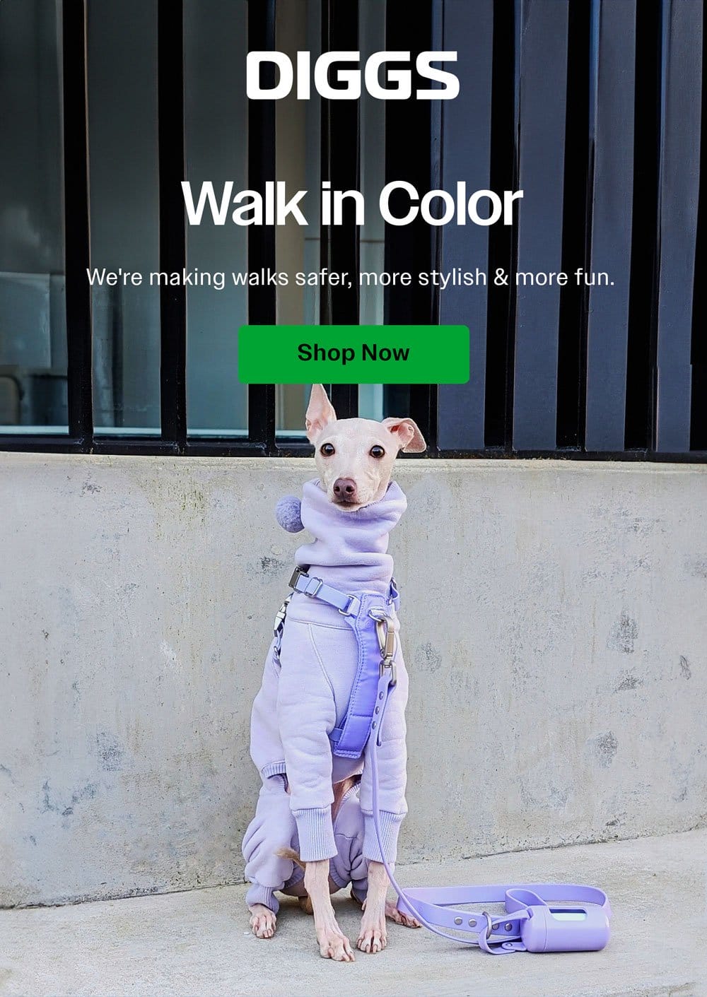 Walk in color