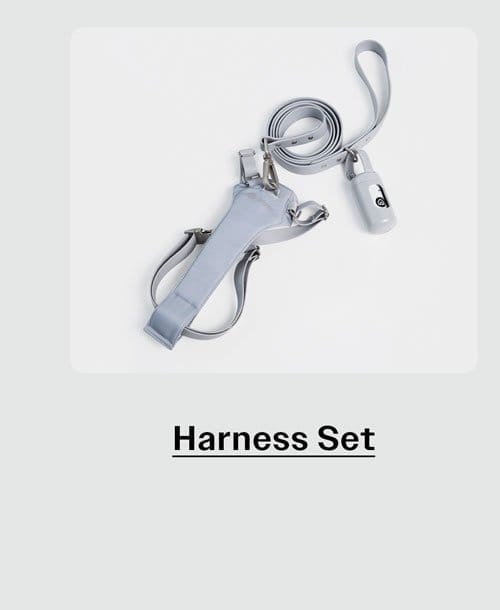 Harness Set