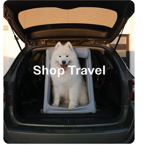 Shop Travel