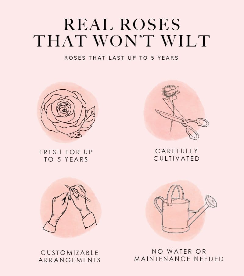 Real Roses That Won't Wilt