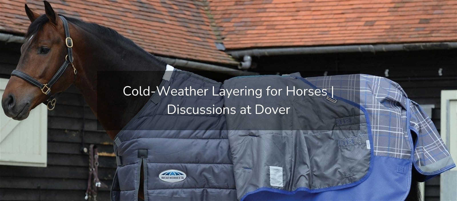 New Blog Post: "Cold-Weather Layering for Horses"