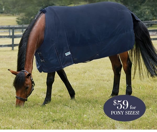 Keep your horse covered with a layer for any temperature and weather!