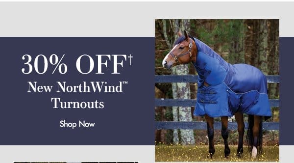 30% Off New NorthWind Turnouts