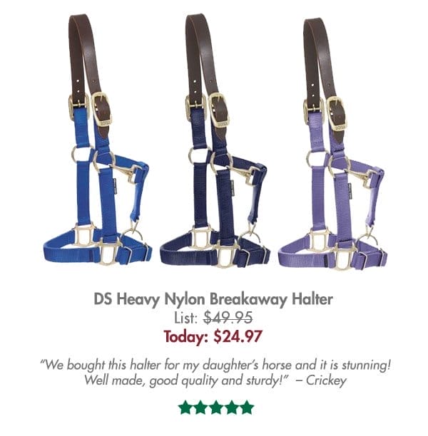 DS Heavy Nylon Breakaway Halter - \\$24.97